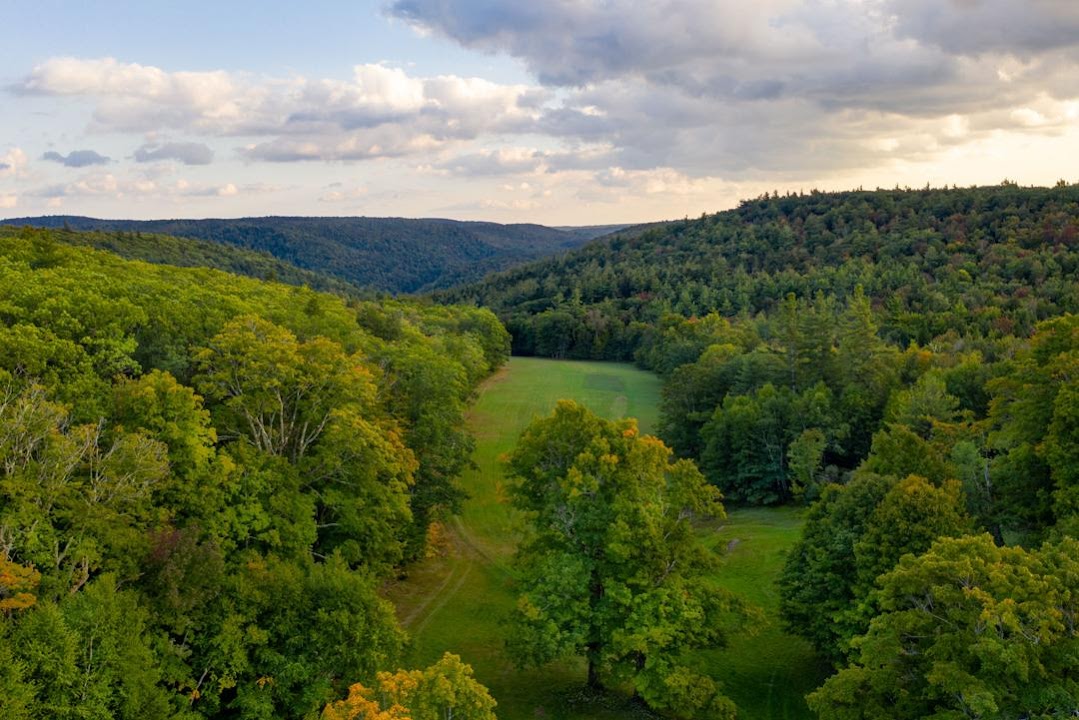 Better Place Forests - Berkshires