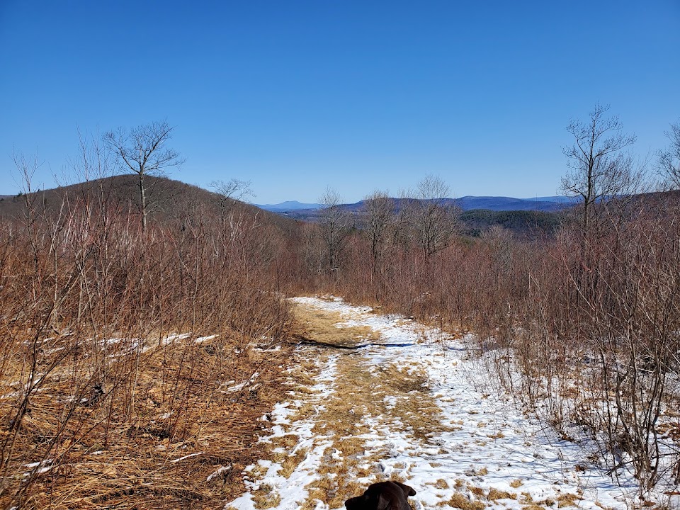 Alford Springs Reserve - Father Loop Trailhead