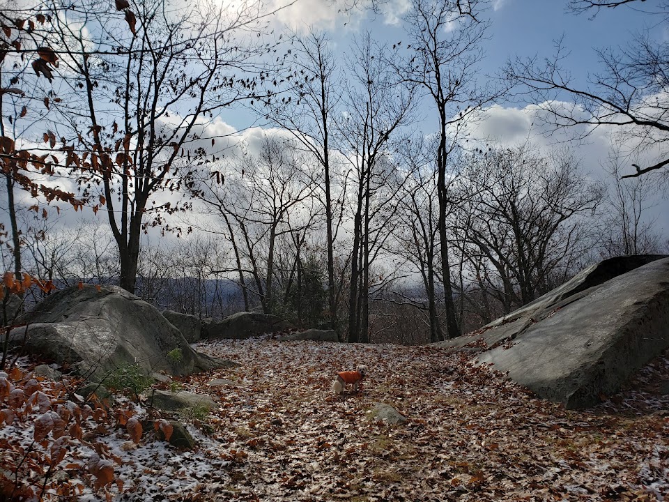 The Boulders