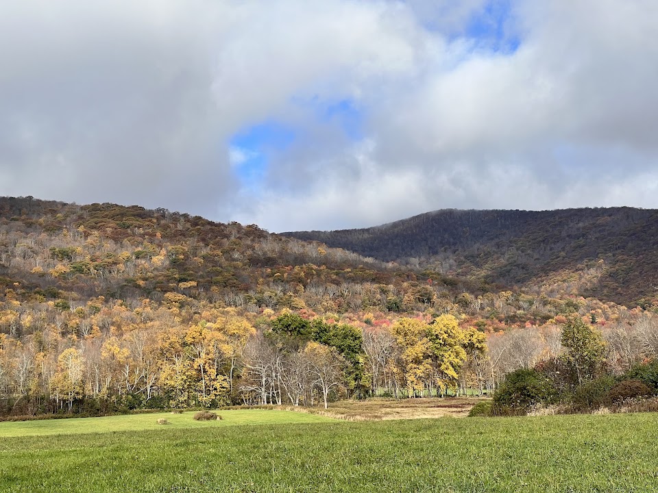 Field Farm Reservation