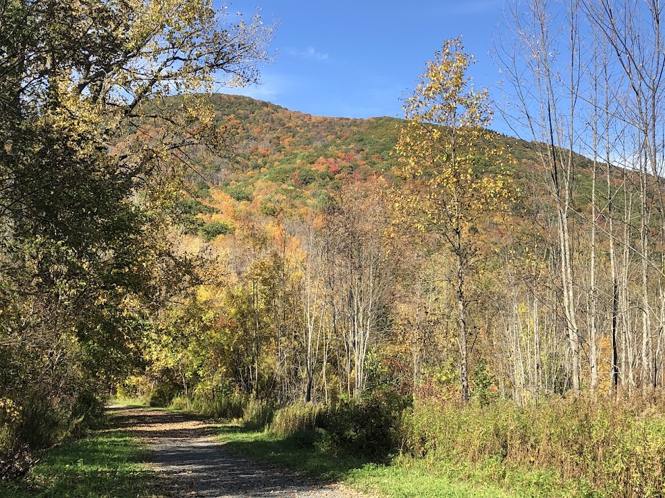Thunderbolt Trailhead