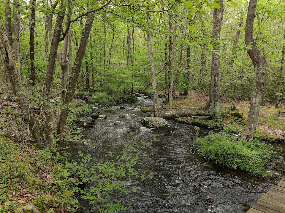 Fort Barton and Ft. Barton Woods