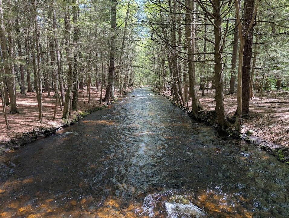 Amethyst Brook Conservation Area