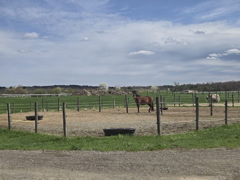 UMass Equine and Livestock Research and Education Farm