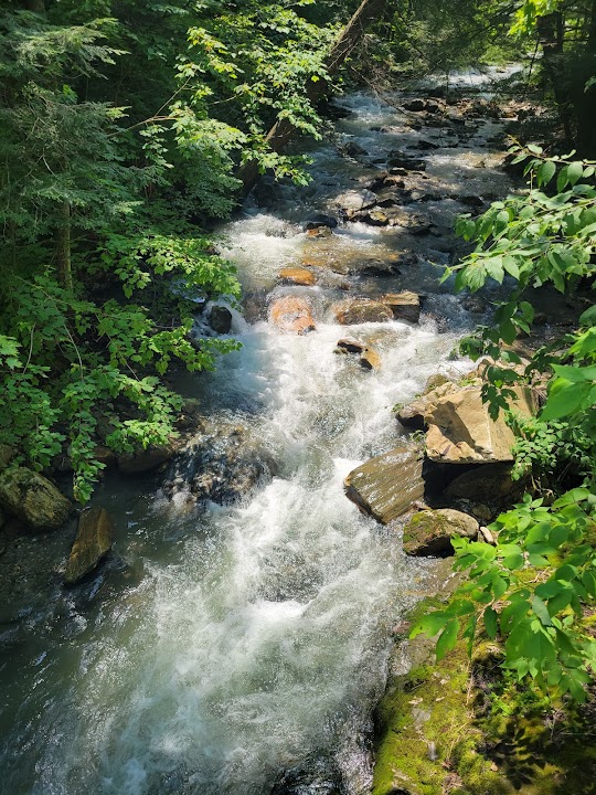 Mount Hope Park