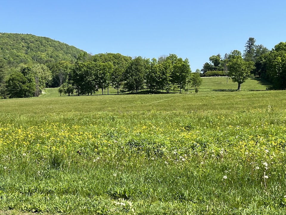 Gould Meadows