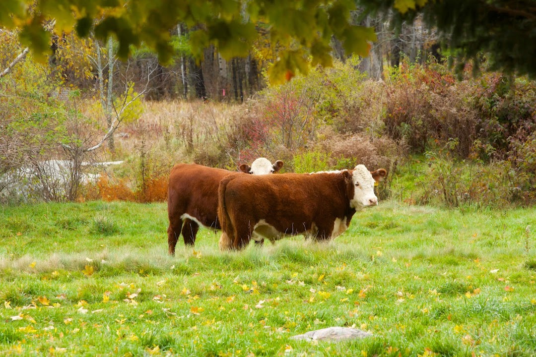East Mountain Farm