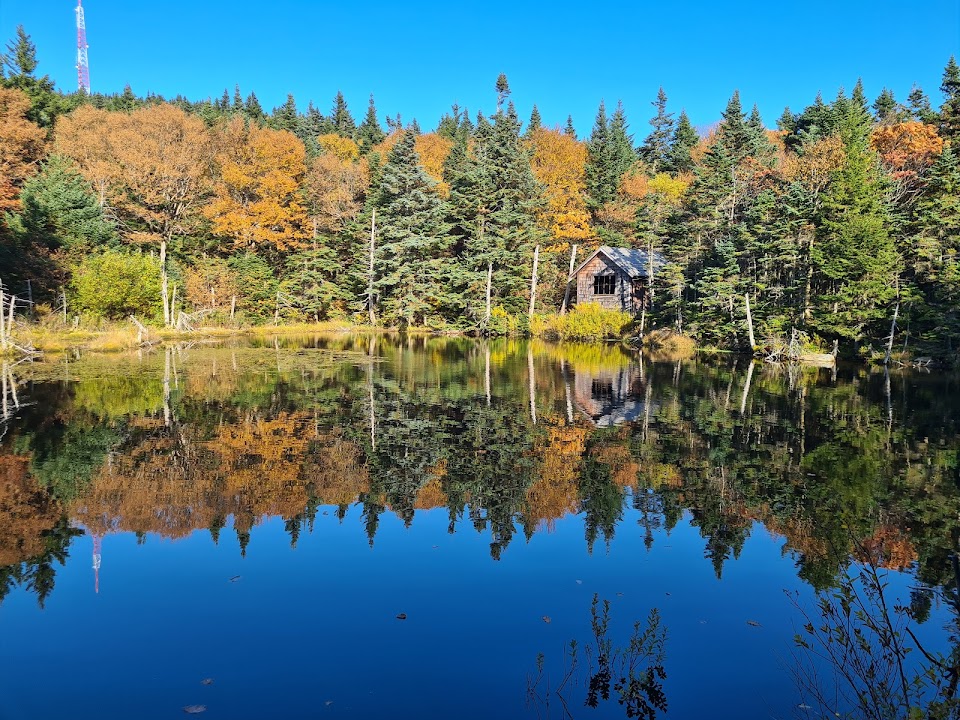 Rockwell Pond