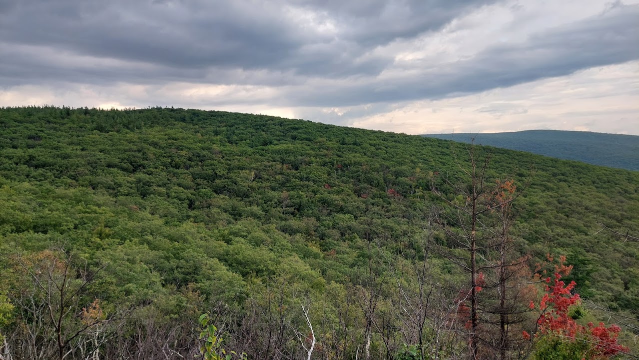Pine Cobble Summit