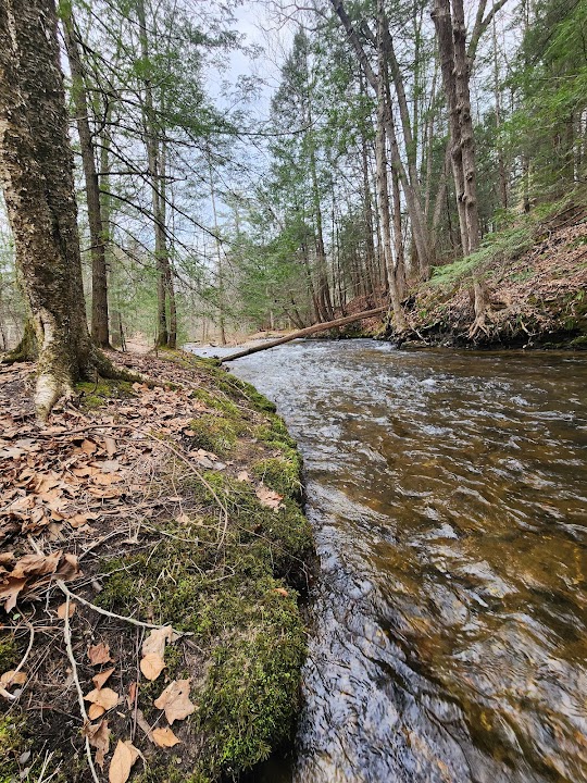Mill River Conservation Area