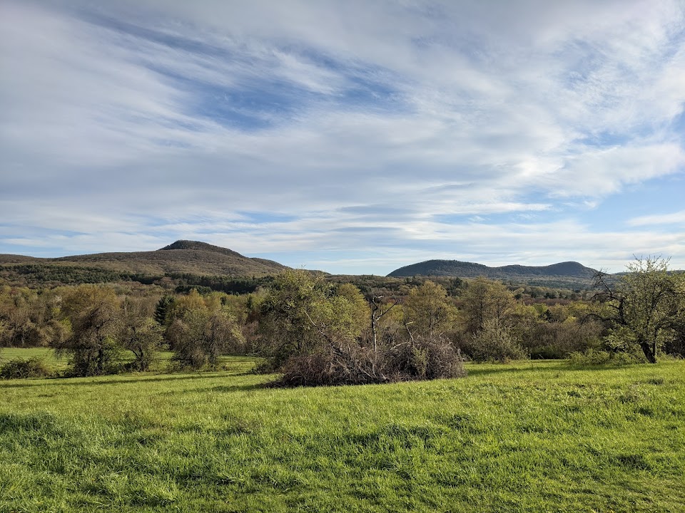 Mt. Pollux Conservation Area