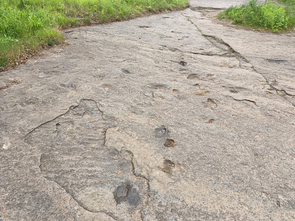 Dinosaur Footprints