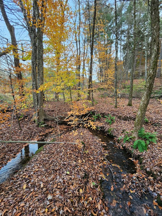 Sweet Alice Conservation Area