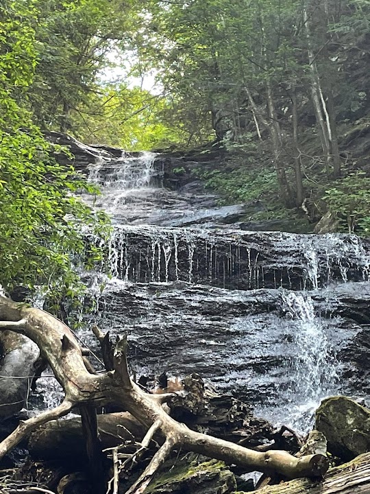 Money Brook Falls