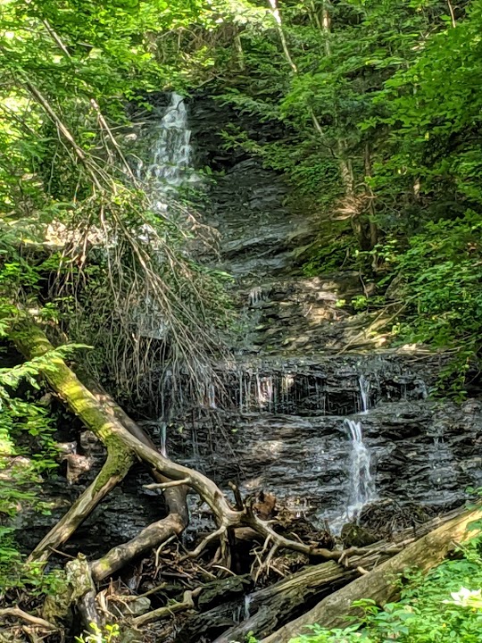 Money Brook Falls Trailhead