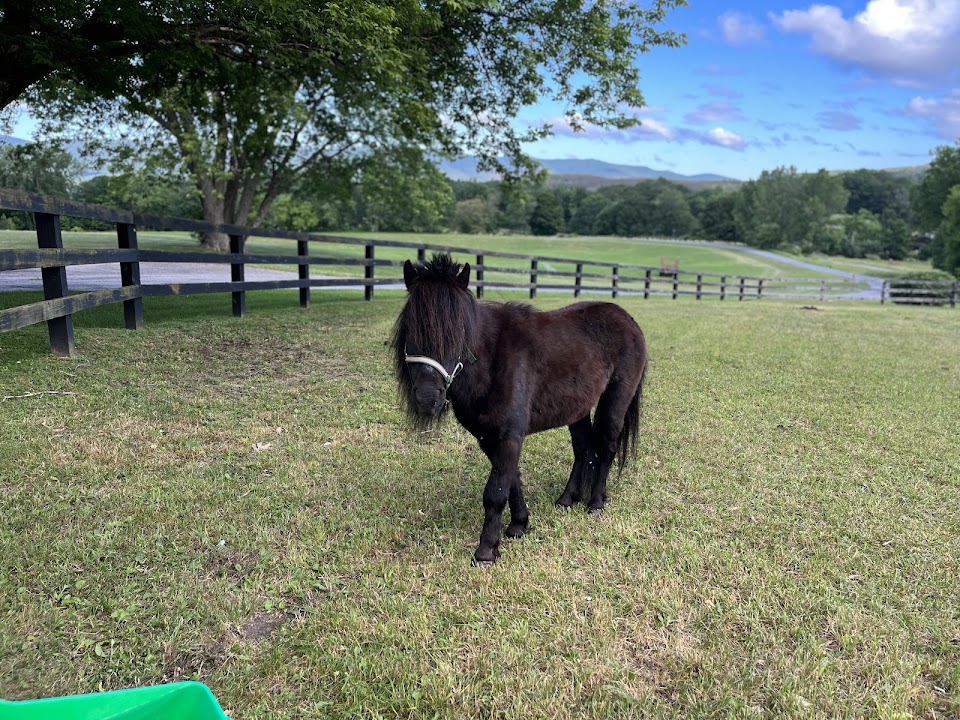 Cobble Hill Farm