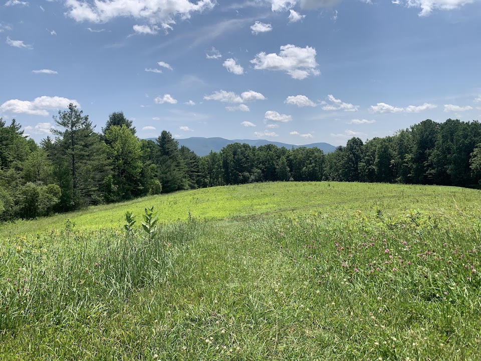Mountain Meadow Preserve