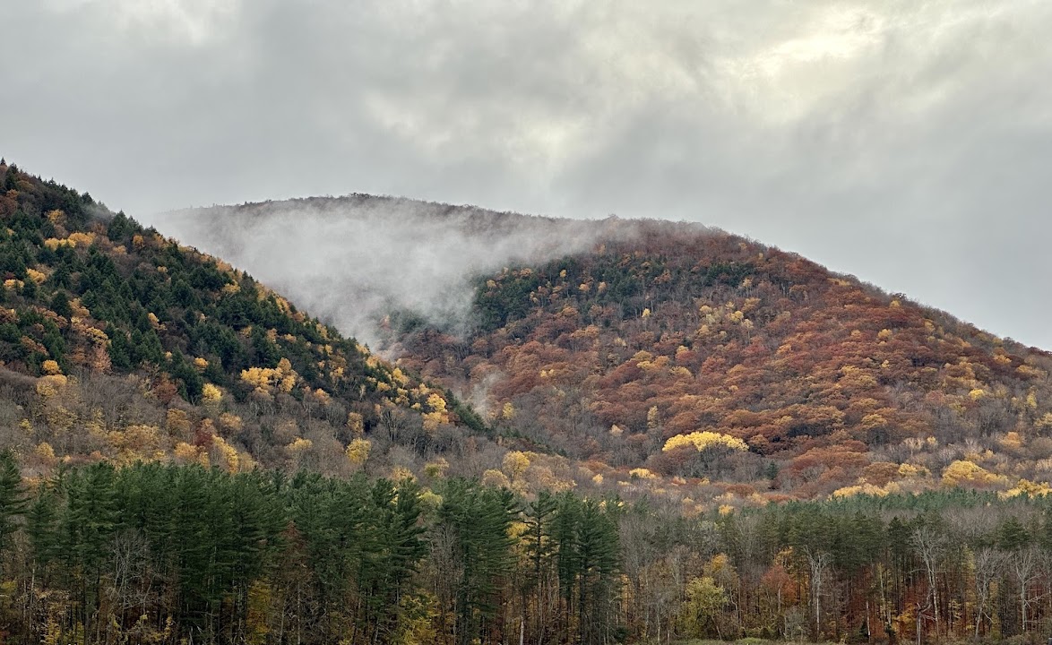 Overlook- Scenic View