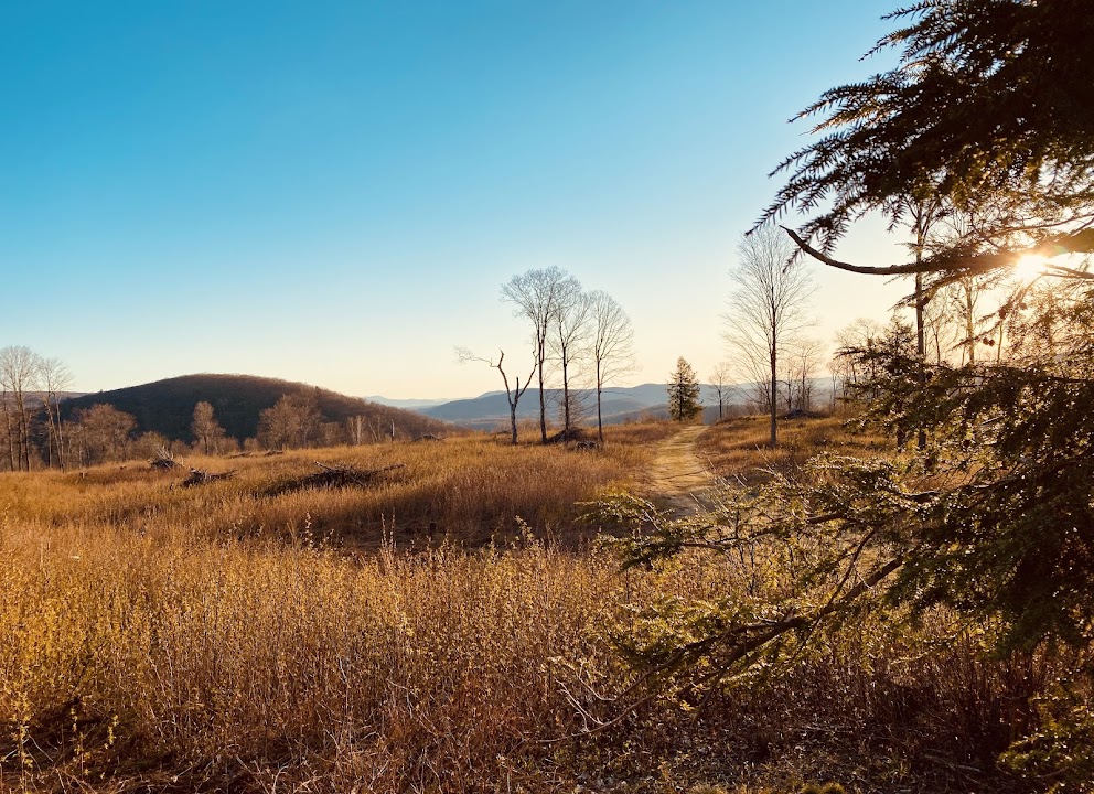 Berkshire Natural Resources Council