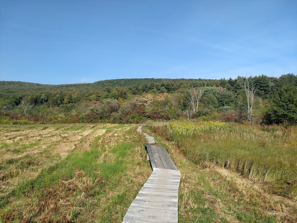 Appalachian Trail at Main Rd