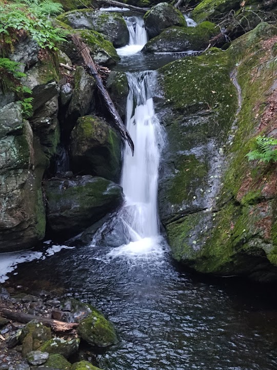 Sages Ravine
