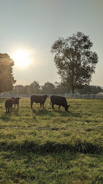Sweet Brook Farm