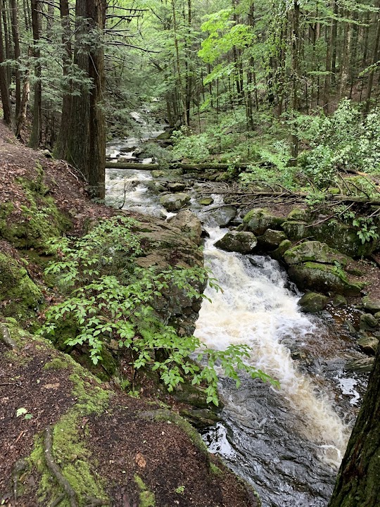 Roaring Brook Trail