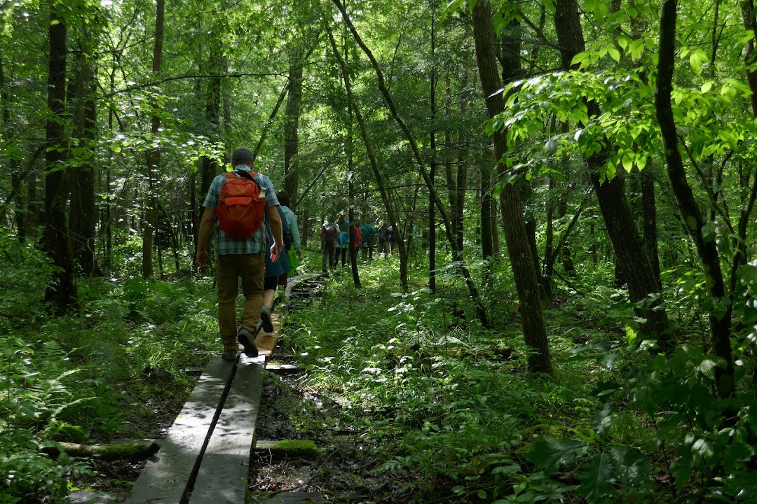 Roger and Virginia Drury Preserve