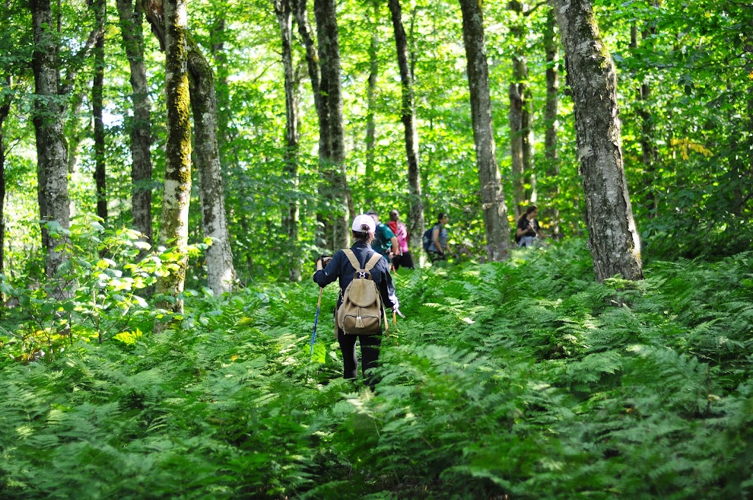 Berlin Mtn. Trailhead