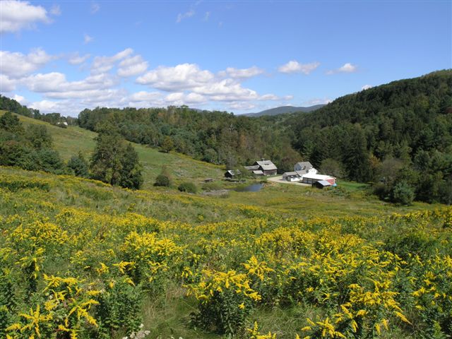 Williamstown Rural Lands