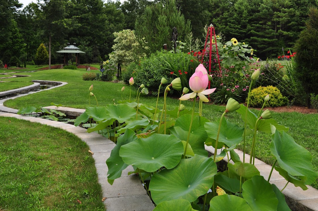 Bedrock Gardens