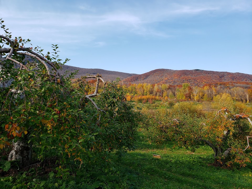 Jaeschke Orchards