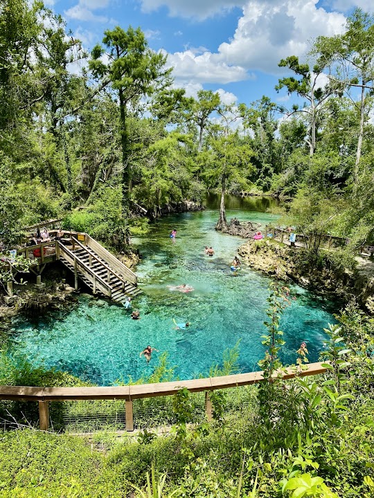 Madison Blue Spring State Park