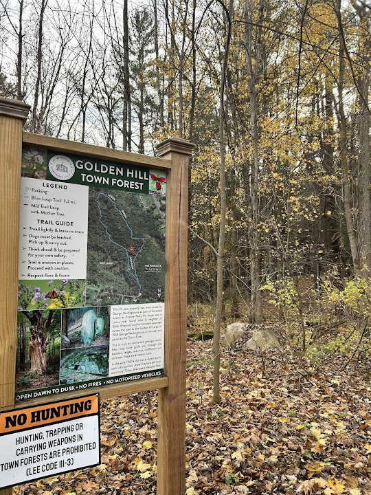 Golden Hill Town Forest Trailhead